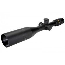 TRIJICON ACCUPOINT 5-20X50 AMBR DOT